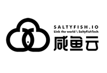咸鱼云SaltyFish VPS最新优惠促销活动整理发布【2023年秋季】