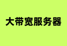 10G大带宽独立服务器商家推荐2025 美国/香港/日本大带宽服务器 - 云主机笔记